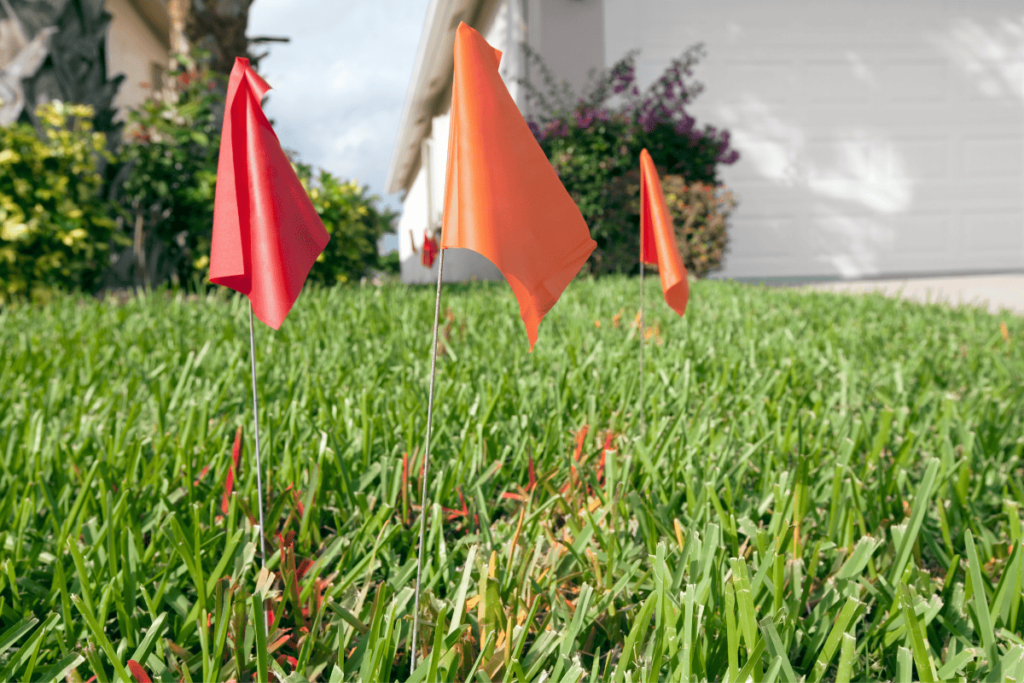 three orange utility flags in the ground